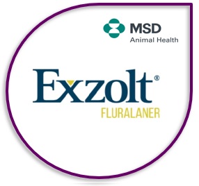 Exzolt
