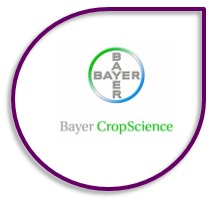 bayer CS