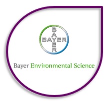 bayer